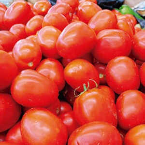 Tomate